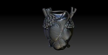corazón maceta corazon plantas Arte esculturas 3d print model - Mito3D