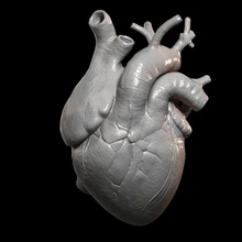 kalp yazdır insan gerçekçi detaylar takı vücut anatomi detaylı altın kolye tarih meydan okuma kardiyovasküler sistemi 3d print model - Mito3D