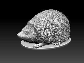hedgehog hedgehog animal sculpture porcupine  statue print art sculptures