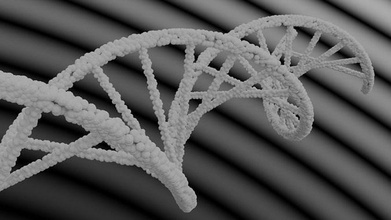 elica dna medico micro medicinale nano laboratorio anatomia scienza nanotubo sfera geometrico forma biologia stampa 3d stampabile traduzione arte sculture molecola 3d print model - Mito3D