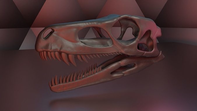herrrasaurus schädel anatomie biologie knochen wissenschaft körper tier skelett dinosaurier fossil replik rahmen drucken triassisch zähne mund druckbar 3D print model - Mito3D