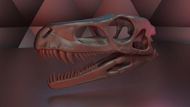 herrerasaurus cráneo anatomía biología hueso ciencias cuerpo animal esqueleto dinosaurio fósil réplica escala impresión triásico dientes boca imprimible 3d print model - Mito3D