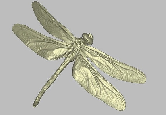 alto preciso real vida luciérnaga 3d scan impresión modelo libélula ilustración fauna silvestre antiguo ala volar naturaleza biología insecto animales ciencias 3d print model - Mito3D