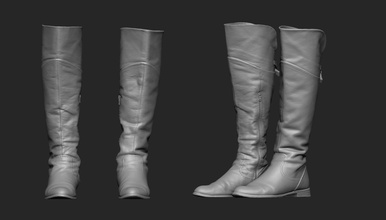 high boots base mesh shoes leather footwear scan ladies female sole overknees boot art scans replicas 3d print model - Mito3D