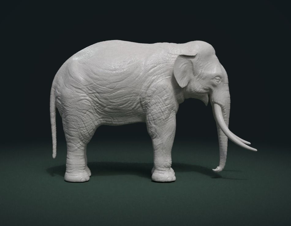 alto escuela politécnica elefante mamut asiático colmillos mamífero arte esculturas 3D print model - Mito3D