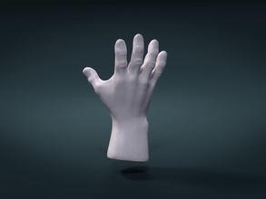 high poly hand Kunst palm arm Anatomie Mann Mensch Teil des Körpers andere 3d print model - Mito3D