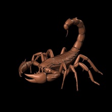 alto precisione 3d scorpione scultura stampa animale scorpioni bronzo anfibi artropodo gioco arte design vero sculture 3d print model - Mito3D