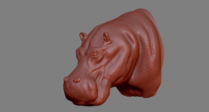 hipopótamo cabeza animal mamífero safari zoo africano esculpir escultura impresión salvaje arte esculturas 3d print model - Mito3D