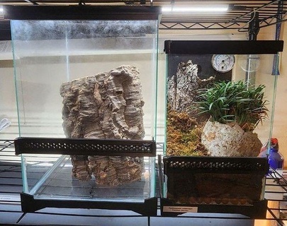 hobbyist arboreal terrarium - large tarantula enclosure glass diy banefp hobby 3d print model - Mito3D