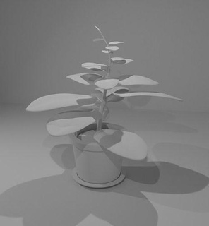 Accueil maison plante nature minimalisme décoration plantes 39 intérieur décor 3d print model - Mito3D