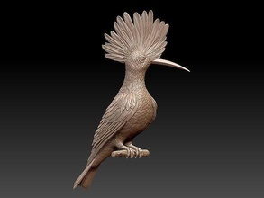 upupa usignolo zimarodok tit cuculo ciuffolotto passero pappagallo jaybird uccello uccelli scultura Stampa statua arte sculture 3d print model - Mito3D