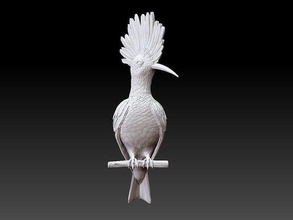 upupa uccello uccelli Stampa statua ciuffolotto usignolo tit arte scultura highpoly sculture 3d print model - Mito3D
