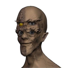 horror cabeza cara arte cráneo víspera santos retrato hombre anatomía estatua personaje ciencias miedo escalofriante enmarcado masculino zombi obsesionado monstruo mitológico criatura torcido esculturas 3d print model - Mito3D