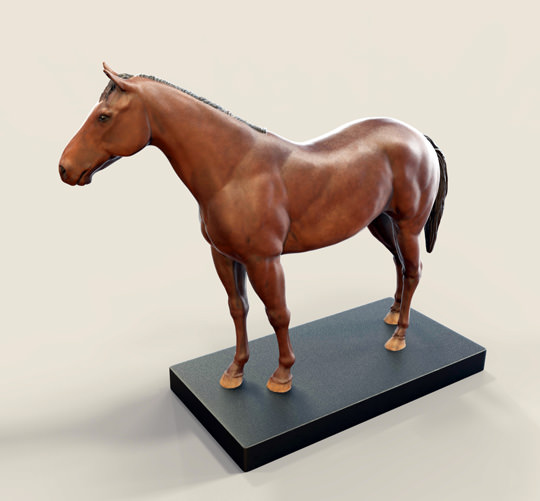 pferd heftklammerndrucken tier tiere kunst skulpturen 3D print model - Mito3D