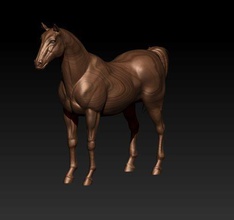 horse nature animal mammal mamal zbrush max obj sculpture statue hors high poly highpoly lowpoly jewelry 3d print model - Mito3D