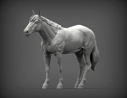 cavallo 3d Stampa modello animale natura cavalla stallone mammifero scultura statuetta souvenir presente capitolo scolpire arte sculture 3d print model - Mito3D