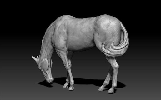 cavallo pascolo equino stallone pony arte 3dprinting illustrazione animale fattoria cavaliere scultura cavalla pannocchia mustang corsa xbrusg organico mammifero asino galoppo sculture 3d print model - Mito3D