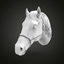 caballo cabeza animal Arte escultura naturaleza bosque estatuilla recuerdo modelo esculpir esculturas estatua 3d print model - Mito3D