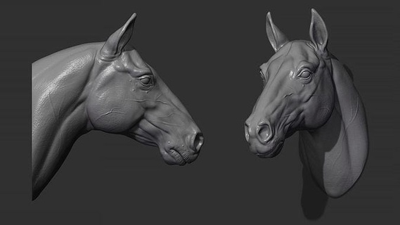 cheval tête animal zbrush sculpter 3d modèle mammifère animaux nature 3dprinting art décor sculptures 3d print model - Mito3D