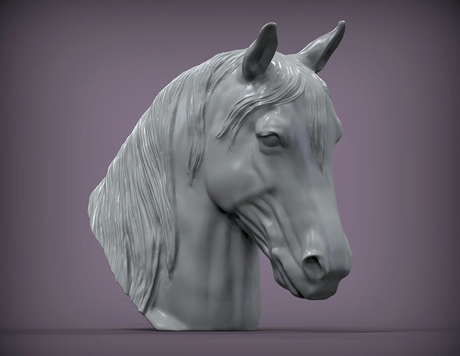 cavalli testa animale natura cavallo cavalla stallone equino 3d stampa scultura statuetta souvenir modello scolpire arte sculture 3D print model - Mito3D