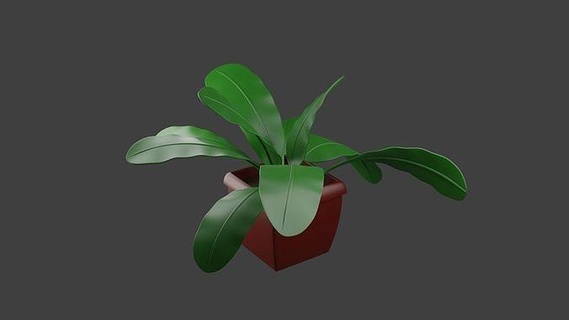 ev bitkisi 3d model Yaprak büyüme doğa çiçek bitki örtüsü tencere orman ağaç ekoloji Bahçe dış mekan 3d print model - Mito3D