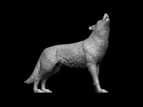 howling wolf animal nature mammal dog jungle werewolf crying forest husky bark wild tail miniatures figurines art sculptures 3d print model - Mito3D