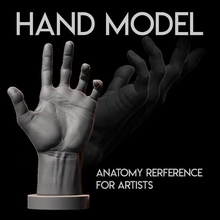 human anatomy hand artist reference humananatomy printable model character body gadget colectible art sculptures 3d print model - Mito3D