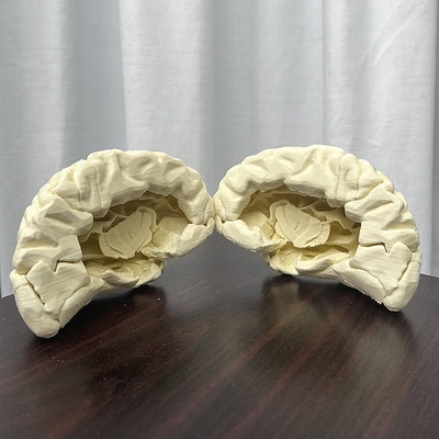 umano cervello anatomia sinistra emisfero medicinale cervelletto modello stampa 3d rompere crain scienza biologia 3d print model - Mito3D