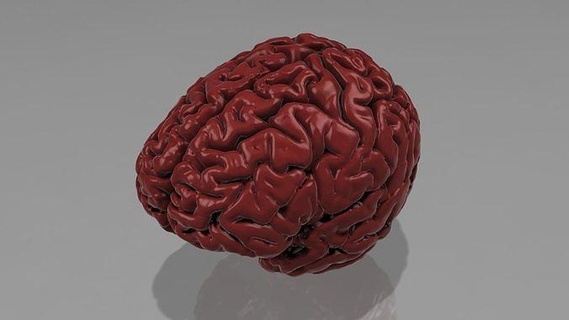 Gehirn medizinisch Kopf Körper Wissenschaft Astronomie Physik 3d print model - Mito3D