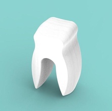 Humain dentaire dent éducation médical os science goujat numérique dentisterie 3dprinting 3shape médicament biologie micro santé scientifique molécule hôpital 3d print model - Mito3D
