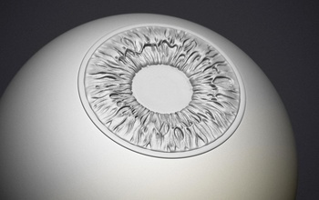 human eye body anatomy iris convex concave science biology 3d print model - Mito3D