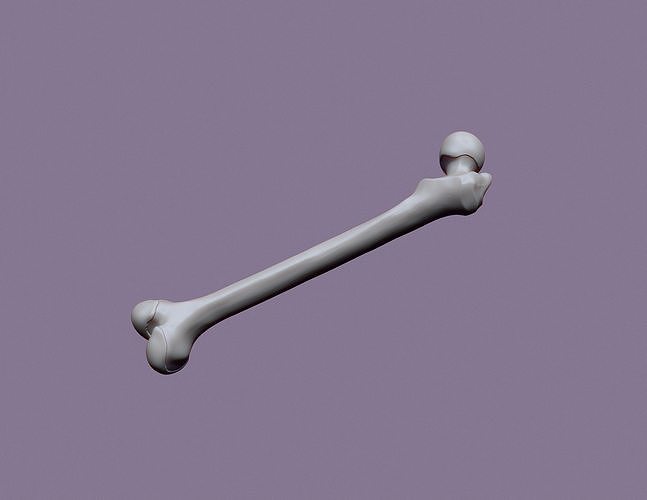 humano fêmur anatomia tornozelo osso quadril junta perna médico medicamento Ciência esquelético esqueleto cirurgia coxa biologia 3D print model - Mito3D