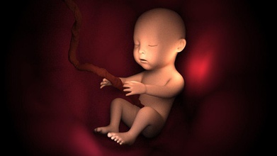 humain fœtus bébé corps peau naissance klein gentil jeux jouets 3d print model - Mito3D