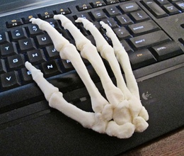 insan hand right ölçek birleştirilmiş anatomi kemikler iskelet el vücut bilim biyoloji kemik kafatası parmak tıbbi sanat kadın adam insanlar masa sıra ev sandalye 3d print model - Mito3D