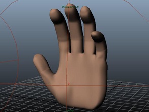 umano mano dito unghia chiodo dita scienza biologia polso braccio manicure brad clipper 3d print model - Mito3D