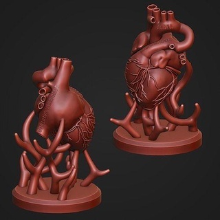 human heart anatomy sculpture statue art statute body man decoration science biology 3d print model - Mito3D