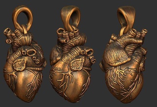 umano, cuore pendente la scultura arredamento art l'anatomia l'organo ciondolo gioielliere gioielli ciondoli 3d print model - Mito3D