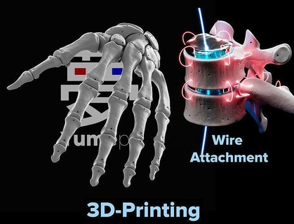 humano rt mão ossos esqueleto anatomia osso detalhe esquelético pulso falange falanges difuso carpal Ciência médico 3dprinting impressão oco biologia 3d print model - Mito3D