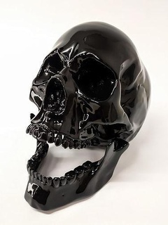 human scull skull head dead bone skeleton anatomy art scans replicas 3d print model - Mito3D