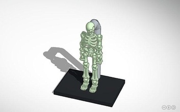 umano scheletro apprendimento corpo scultura uomo scienza astronomia fisica 3d print model - Mito3D