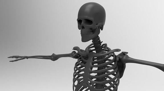 human skeleton full character kull head bone anatomy skull skeletal body spine bones medical anatomical cranium fantasy challenge science astronomy physics 3d print model - Mito3D