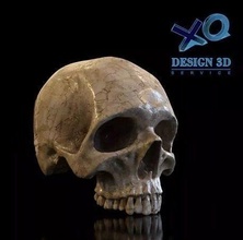 humano crânio arte escultura estátua esqueleto personagem Horror corpo anatômico Ciência 3d print model - Mito3D