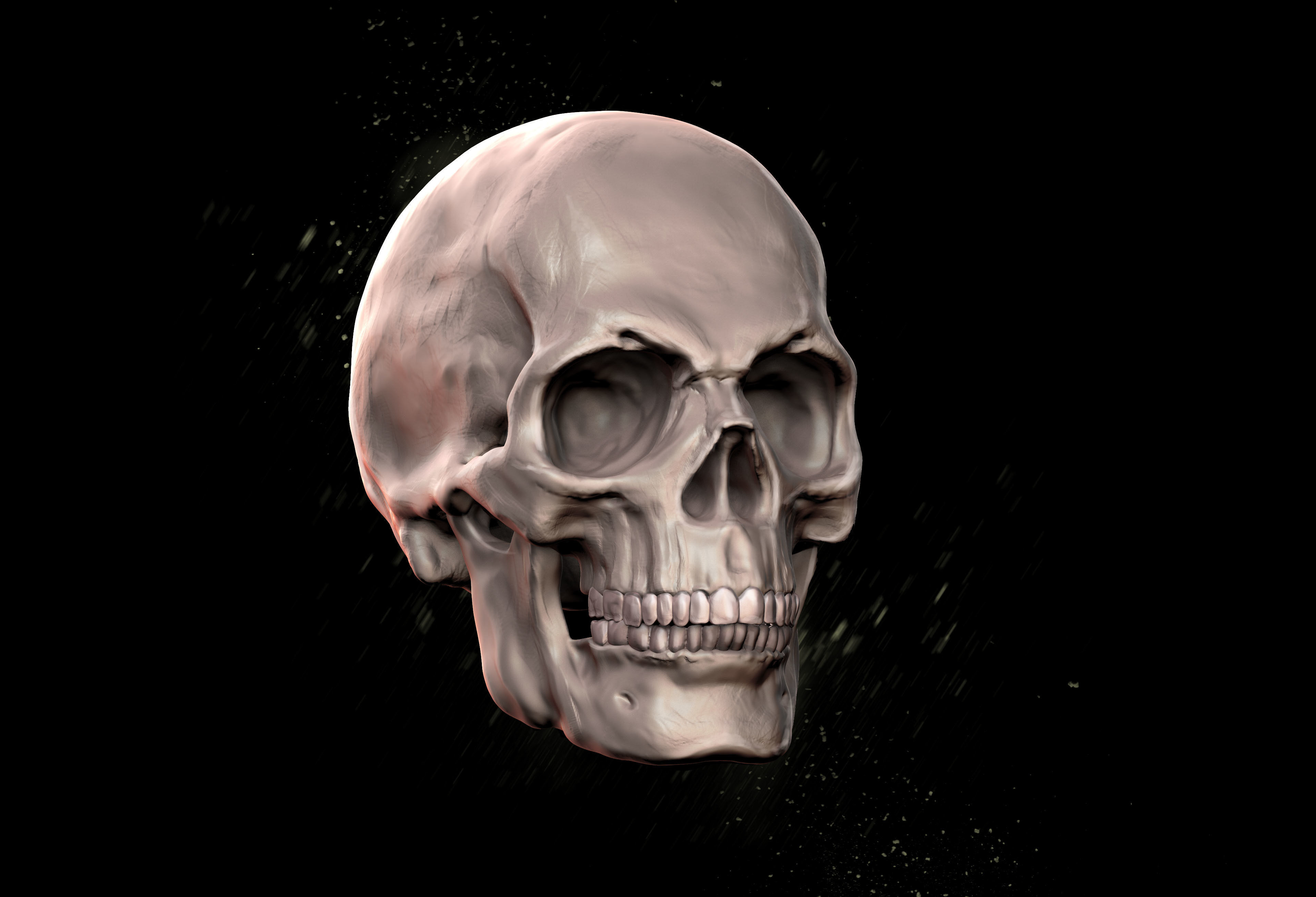 umano cranio uomo anatomia viso testa corpo animale scheletro colonna vertebrale scheletrico osso scienza anatomico persona biologia 3D print model - Mito3D