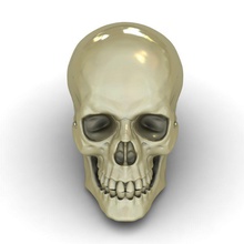 human skull model art 3d printing cnc sculptures 3d print model - Mito3D