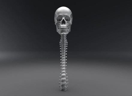 humano cráneo columna vertebral articulado escala anatomía escanear esquelético biología sistema atlas hioides Ciencias médico masculino craneal cabeza partes 3d print model - Mito3D