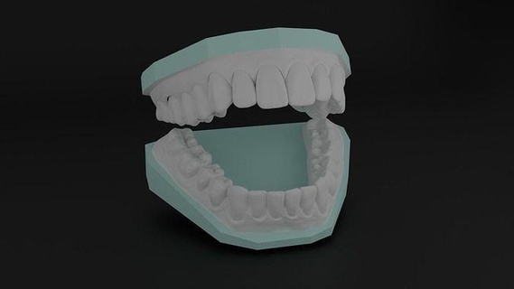 humano dentes dentadura escova dente dentista medicamento odontologia Cuidado dental raiz corpo anatomia Ciência médico personagem biologia 3d print model - Mito3D