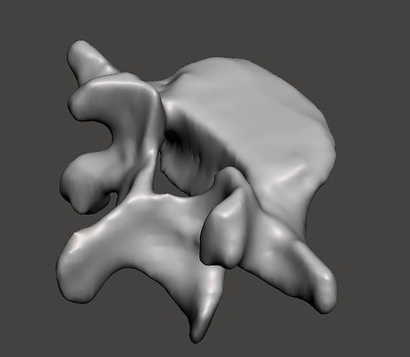 humano vértebra l5 coluna osso anatomia fêmea esquelético esqueleto corpo ciência biologia 3d print model - Mito3D