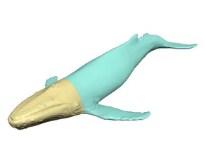 humback baleia de impressão a arte pronta imprimir printable peixe mamífero natureza submarino sob do mar oceano água escultura grande estátua esculturas 3d print model - Mito3D