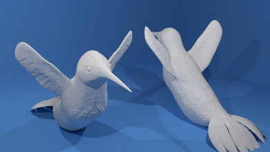 sinek kuşu 3d printable kuş 3dprint güzel tasarım doku tüyü sanat heykeller 3d print model - Mito3D