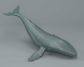 Buckel Wal Tier Buckelwal Fisch Ozean Meer Skulptur Gebläse Wale Wasser Statue Miniaturen Figuren Kunst Skulpturen 3d print model - Mito3D